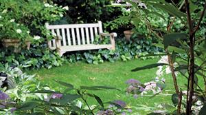 Adding a bench makes area inviting for visitors as well as gardeners - credit all images: Jane Moore
